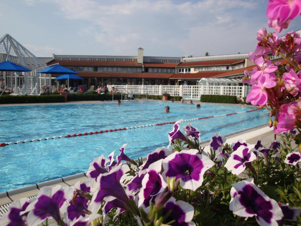 Apparthotel Minerva Diana Octavia Бад-Геггинг Экстерьер фото